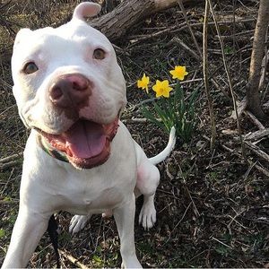 Meet your Posher, Samuel